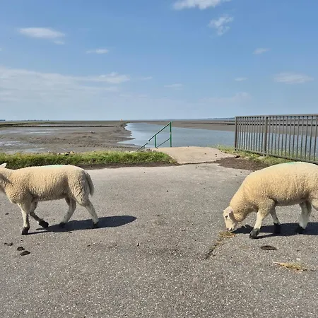 Strandperle Husum Nordsee 別荘 *