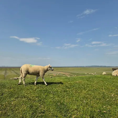 Strandperle Husum Nordsee Casa de Férias *
